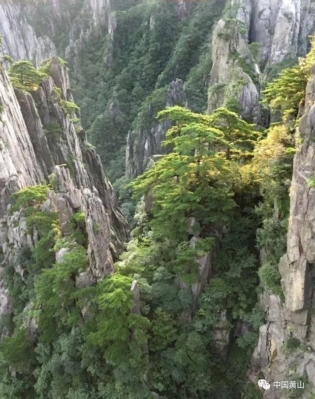 普利特：周文累计质押股数为7530万股，占比16.85%